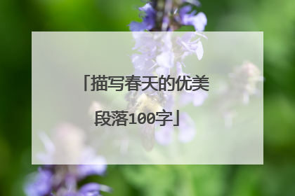 描写春天的优美段落100字