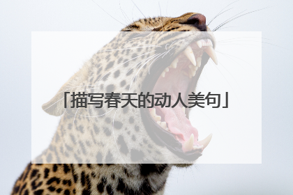描写春天的动人美句