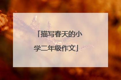 描写春天的小学二年级作文