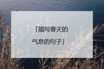 描写春天的气息的句子