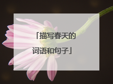 描写春天的词语和句子