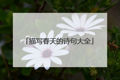 描写春天的诗句大全