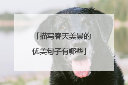 描写春天美景的优美句子有哪些