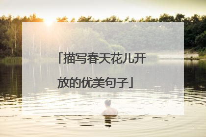 描写春天花儿开放的优美句子