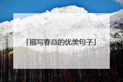 描写春意的优美句子