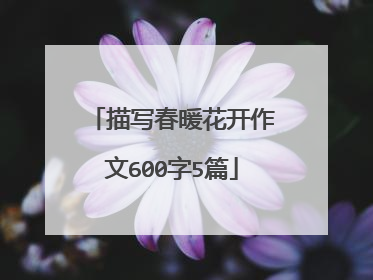 描写春暖花开作文600字5篇