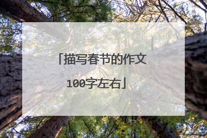 描写春节的作文100字左右