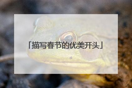 描写春节的优美开头