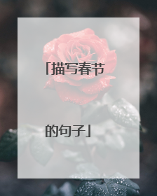 描写春节的句子