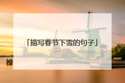 描写春节下雪的句子