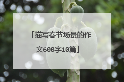 描写春节场景的作文600字10篇