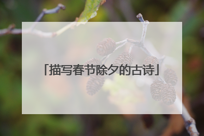 描写春节除夕的古诗