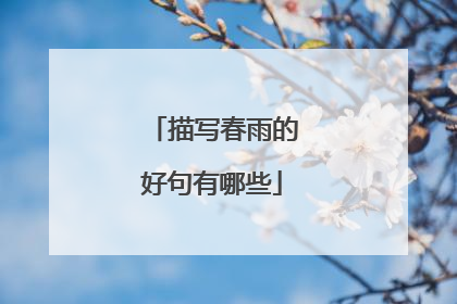 描写春雨的好句有哪些