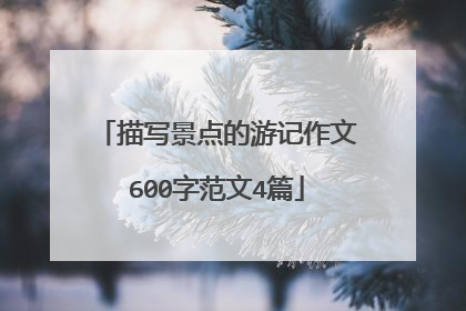 描写景点的游记作文600字范文4篇