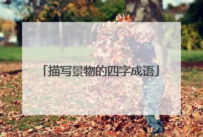 描写景物的四字成语