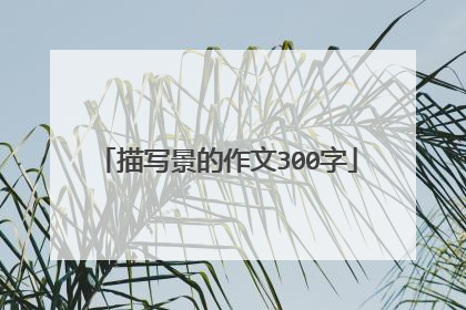 描写景的作文300字