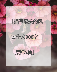 描写最美的风景作文800字集锦5篇
