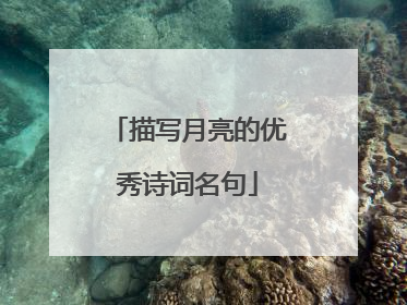 描写月亮的优秀诗词名句