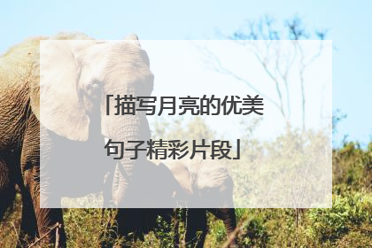 描写月亮的优美句子精彩片段