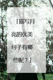 描写月亮的优美句子有哪些呢?