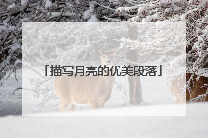 描写月亮的优美段落