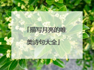 描写月亮的唯美诗句大全