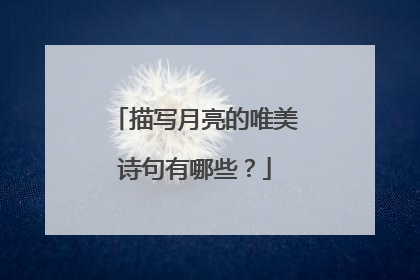 描写月亮的唯美诗句有哪些？