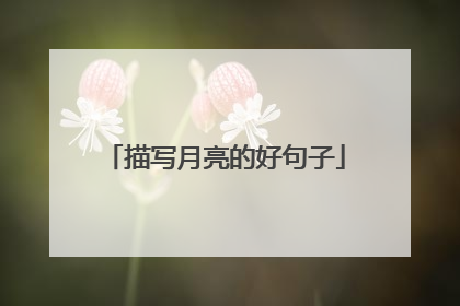 描写月亮的好句子