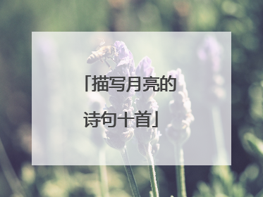 描写月亮的诗句十首