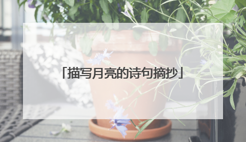 描写月亮的诗句摘抄