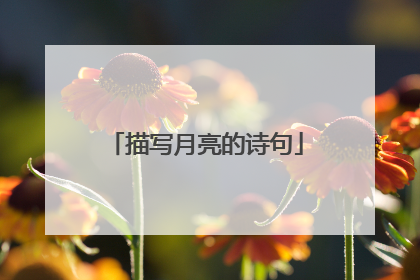 描写月亮的诗句