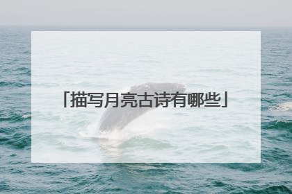 描写月亮古诗有哪些