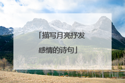 描写月亮抒发感情的诗句