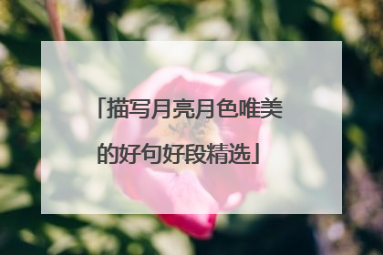 描写月亮月色唯美的好句好段精选