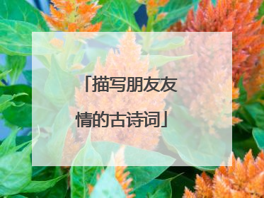 描写朋友友情的古诗词