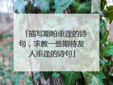 描写期盼重逢的诗句,求教一些期待友人重逢的诗句