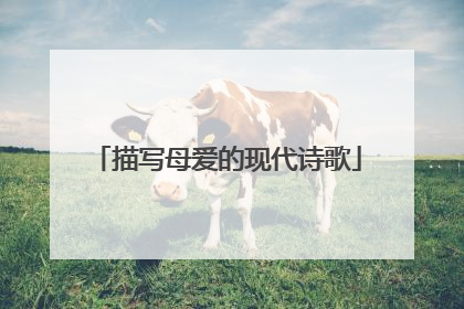 描写母爱的现代诗歌