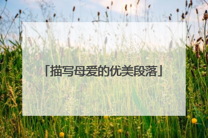 描写母爱的优美段落