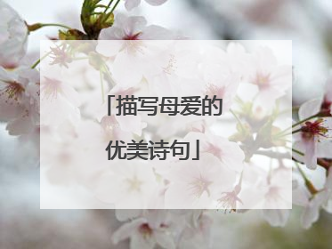 描写母爱的优美诗句