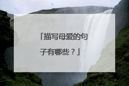 描写母爱的句子有哪些？