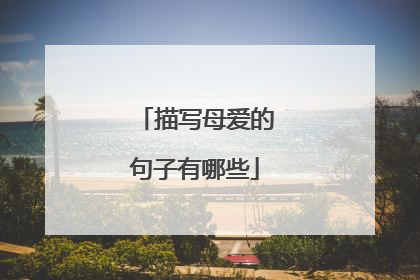 描写母爱的句子有哪些