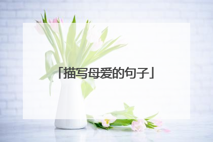 描写母爱的句子