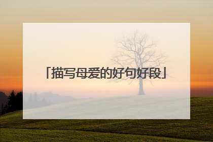 描写母爱的好句好段