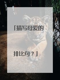描写母爱的排比句？