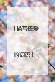 描写母爱的词语