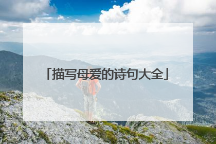 描写母爱的诗句大全