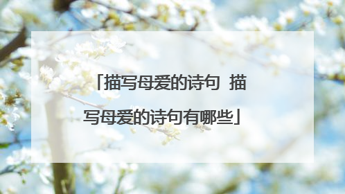 描写母爱的诗句 描写母爱的诗句有哪些