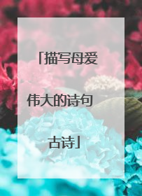 描写母爱伟大的诗句 古诗