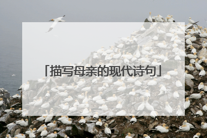 描写母亲的现代诗句