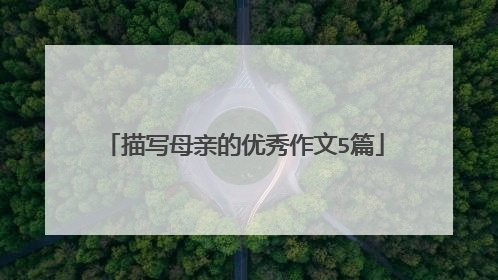 描写母亲的优秀作文5篇